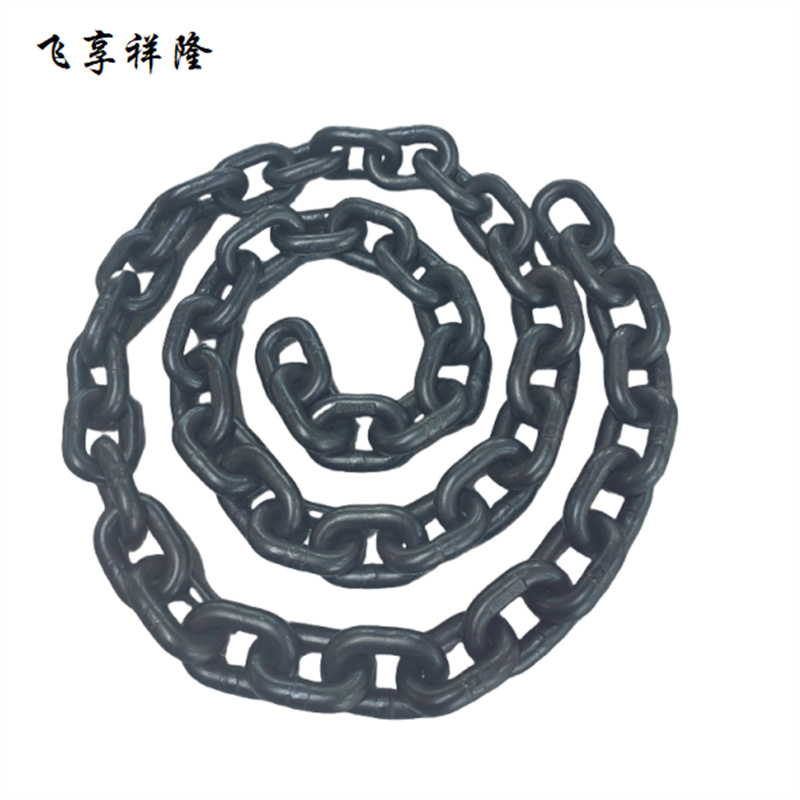 飞享祥隆 链条(10mm)米高清大图