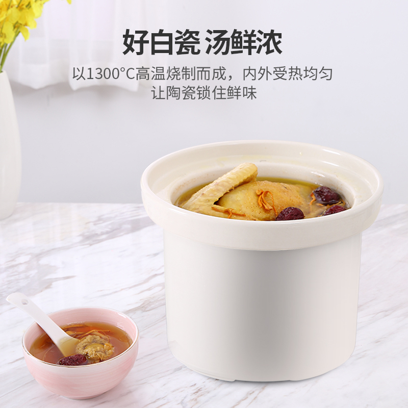 小浣熊电炖锅陶瓷家用全自动煲汤锅熬煮粥神器电砂锅小养生电炖盅