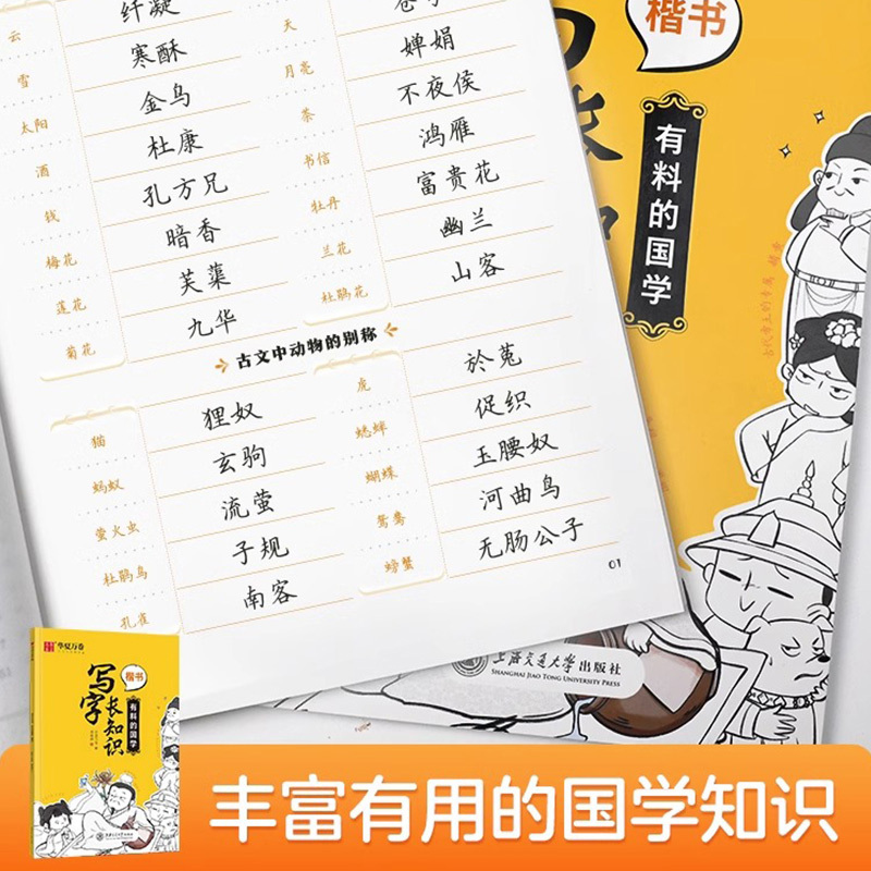 写字长知识 有用的地理 [正版]写字长知识有用的地理有趣的历史有料的国学初中生男生女生钢笔书法楷书描红练字帖大学生硬笔正