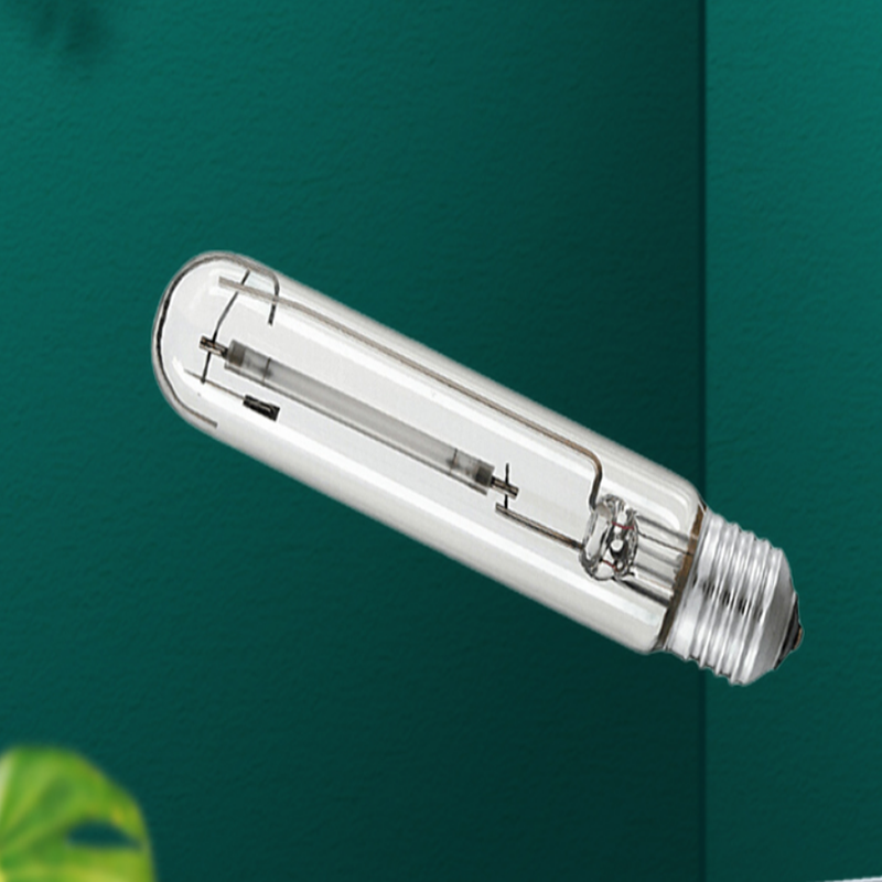飞利浦(Philips) 高压钠灯泡 SON-T/150W E40螺口 黄光 货期5-10天高清大图