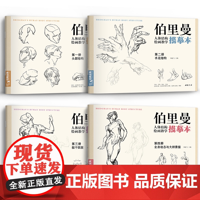 伯里曼人体结构教学描摹本[四册全套] 正版速写人物结构绘画练sh高清大图