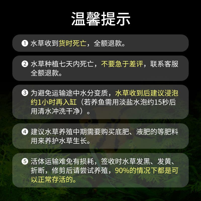 金鱼藻蜈蚣草水草植物绿菊鱼缸造景水培真草养鱼草缸绿植净水新手图片