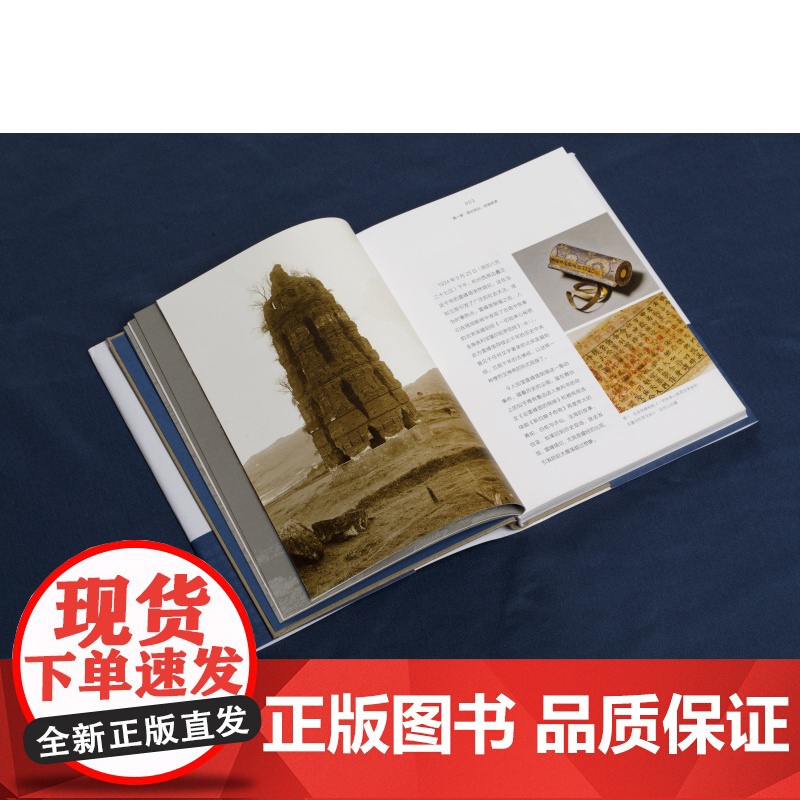 正版 远尘离垢雷峰塔与雷峰塔所藏 文化艺术 中国嘉德古籍善本部编 上海书画出版社高清大图