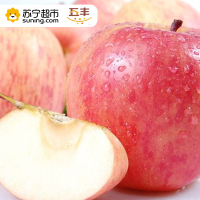 山东红富士