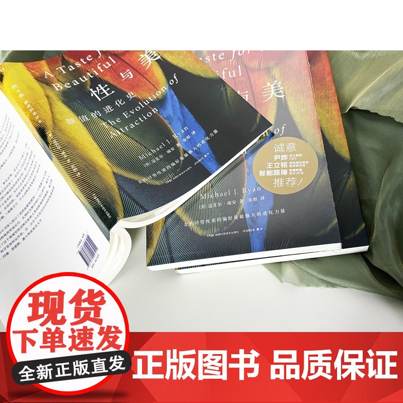 性与美:颜值的进化史高清大图