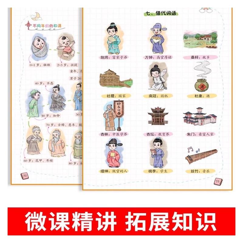 []百科常识注音版 小学通用 [正版]2024版小学生必背科常识+文学常识百一本全小学语文知识大全1-6年级人教