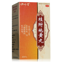 恒修堂 桂附地黄丸420丸