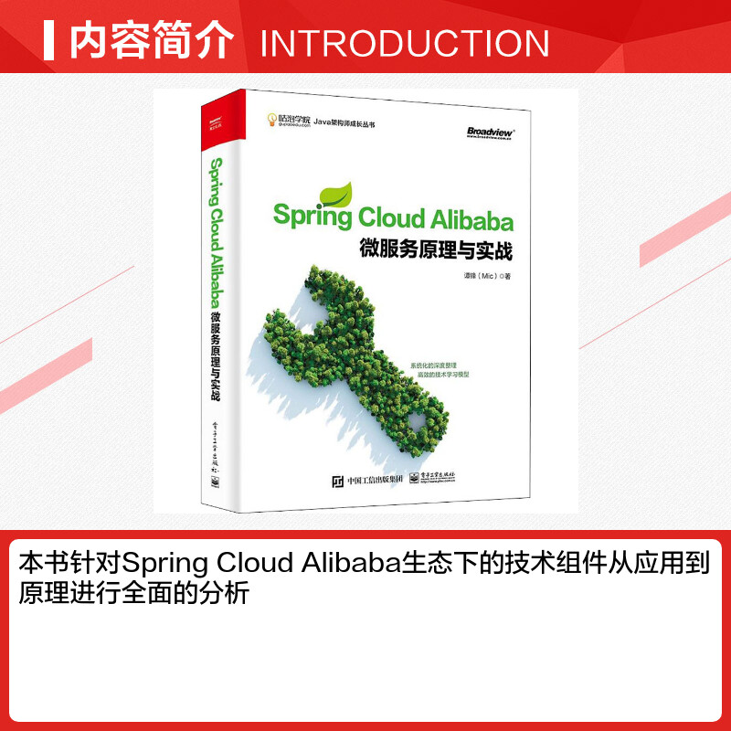 Spring Cloud Alibaba微服务原理与实战 谭锋 正版书籍 电子工业出版社高清大图
