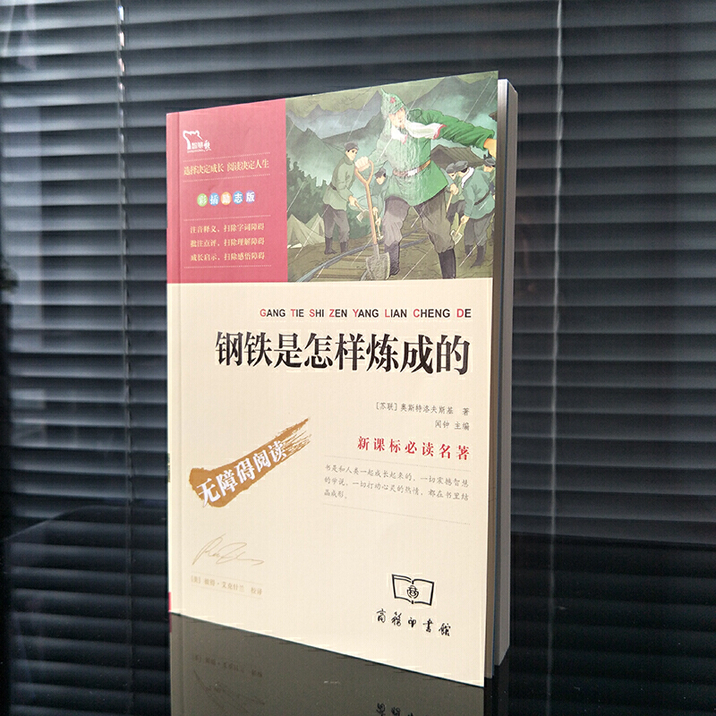 《钢铁是怎样炼成的》 100本