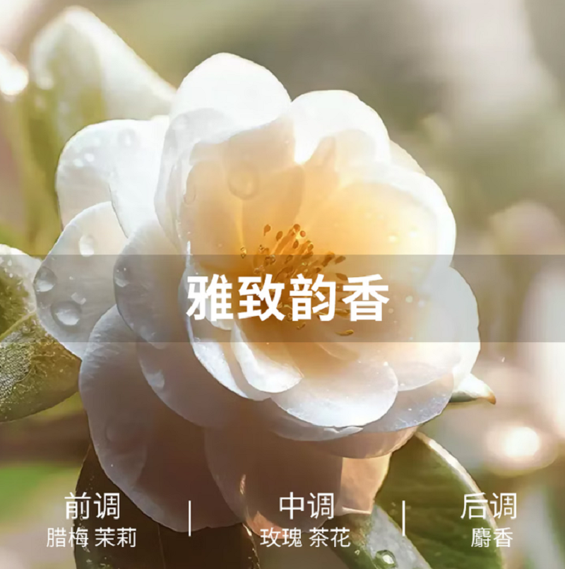 美穗吉家 山茶植萃全效洁白香氛洗衣液 2千克高清大图