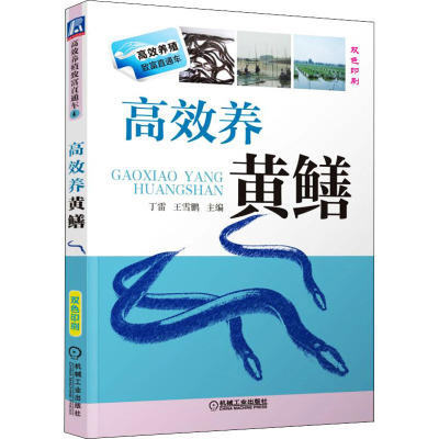高效养黄鳝