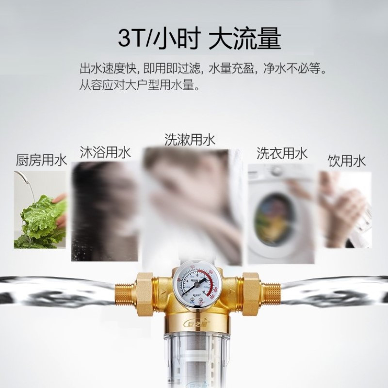 安之星前置净水器过滤器 家用全屋反冲洗厨房自来水过滤器净水机 安之星AZX-QZ-08