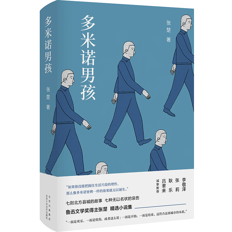 醉染图书多米诺男孩9787530220818高清大图