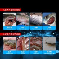 聚维酮碘消毒液水产养殖乌龟鱼虾蟹贝海参蛙鳝塘杀菌消毒复合碘液