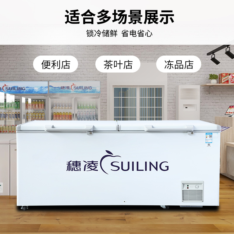 穗凌(SUILING)商用冰柜大容量冷柜 冷藏冷冻柜转换 厨房冰箱保鲜柜超市雪糕柜卧式速冻雪柜BD-828