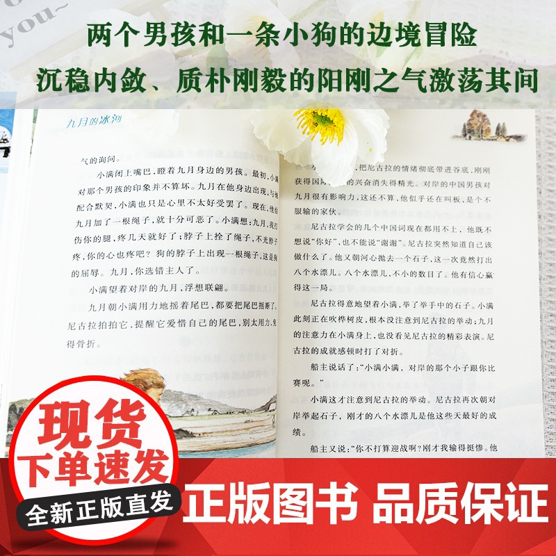 纯真生命系列 九月的冰河 一个有关成长与爱的故事正版图书 6-9-12岁中国儿童读物教文学故事小说书籍小学生课外阅读高清大图