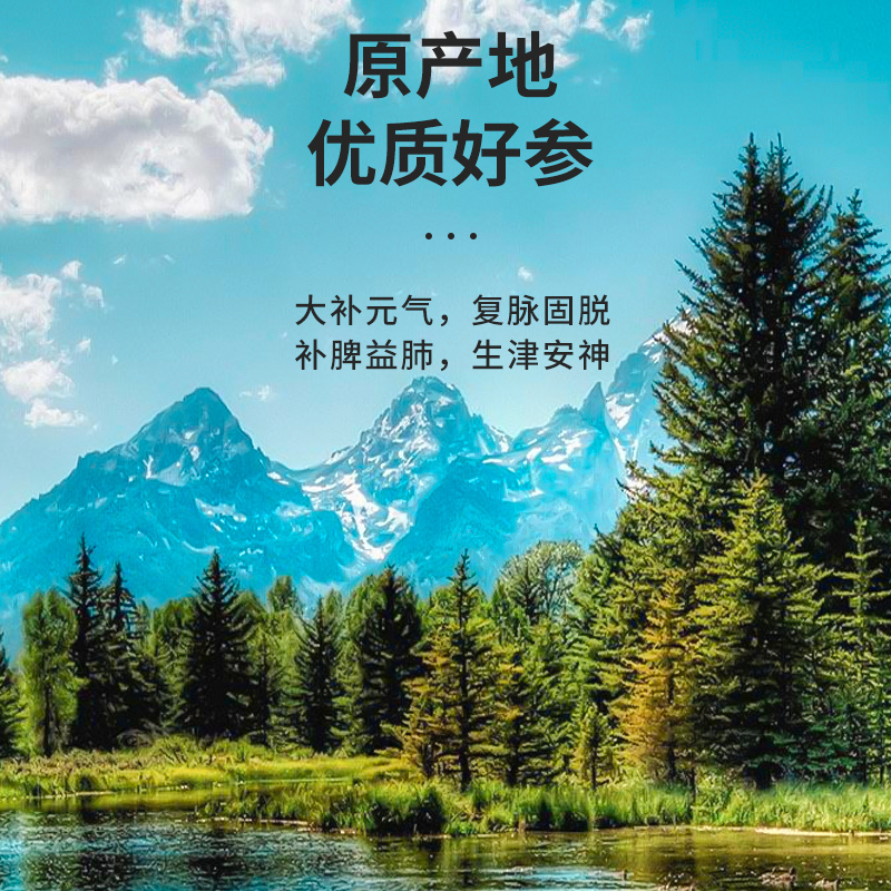 裕百年五宝茶500g保健肾茶男人茶老公茶男性肾补品养生补气养血枸杞桑葚黄精熬夜