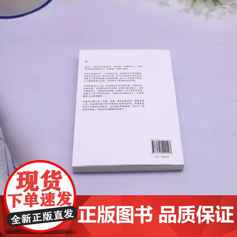 我是个年轻人,我得了躁郁症 中科院心理研究所教授陈祉妍倾情作序 一部躁郁症患者康复手记,只有直面它,才能战胜它,拯救自己高清大图