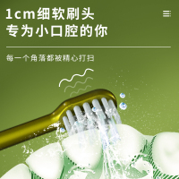 ROAMAN/罗曼电动牙刷男女情侣软毛声波智能电动牙刷T10X小果刷