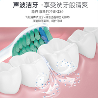飞利浦（PHILIPS） 电动牙刷 HX3216/01 成人充电式 声波震动牙刷 智能计时呵护牙龈美白牙齿 浅蓝色