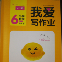2019年春年正版一本我爱写作业小学数学六年级下册人教RJ
