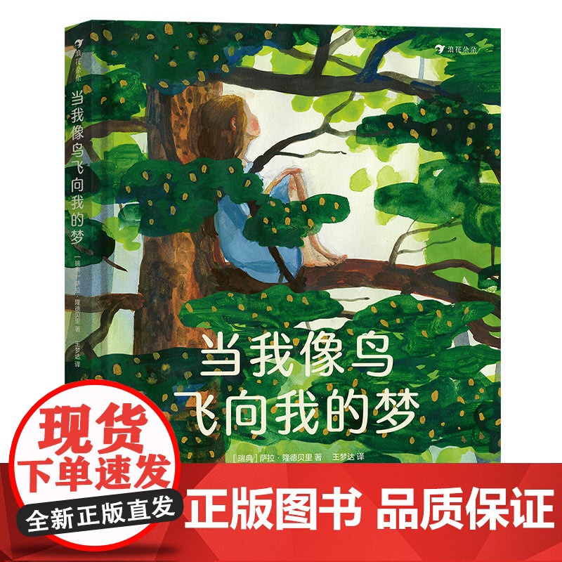 当我像鸟飞向我的梦 8-12岁青少年成长励志文学绘本 一个女孩追求梦想、坚持自我的励志故事绘本 瑞典文学奖作品 后浪童书高清大图