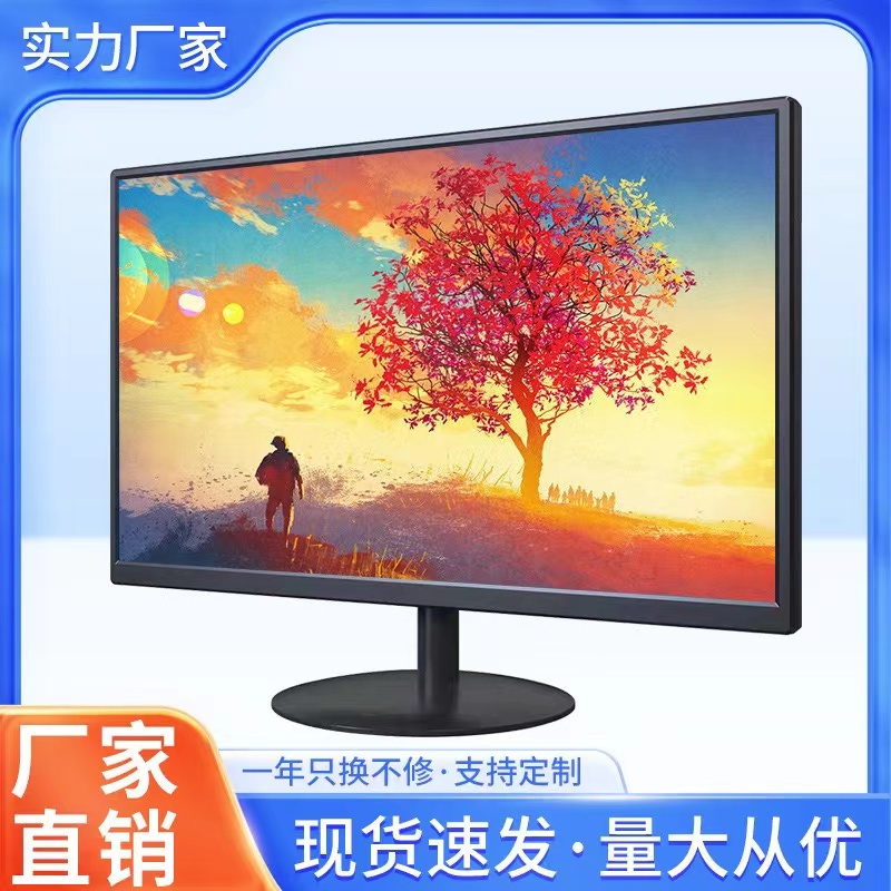 监控显示器蓝利浦21寸