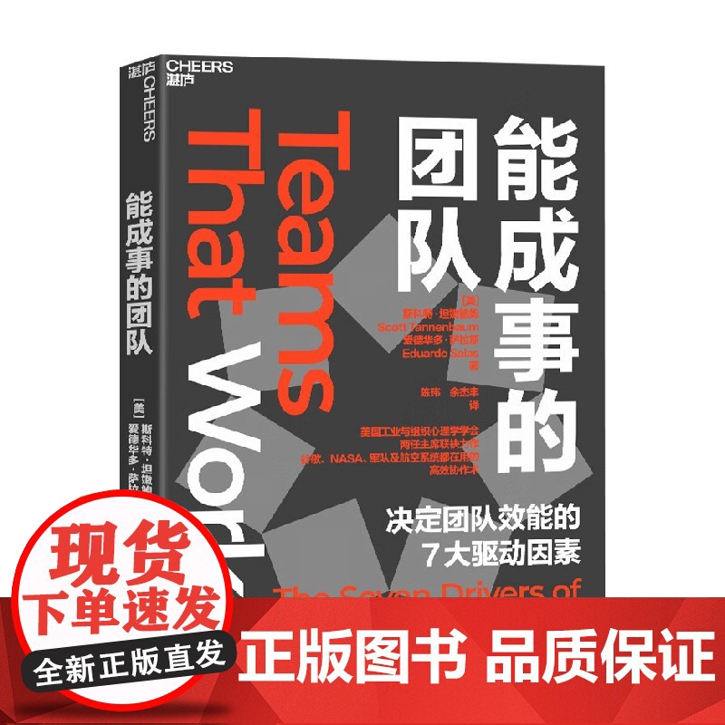 能成事的团队 爱德华多·萨拉斯等 著 励志与成功高清大图