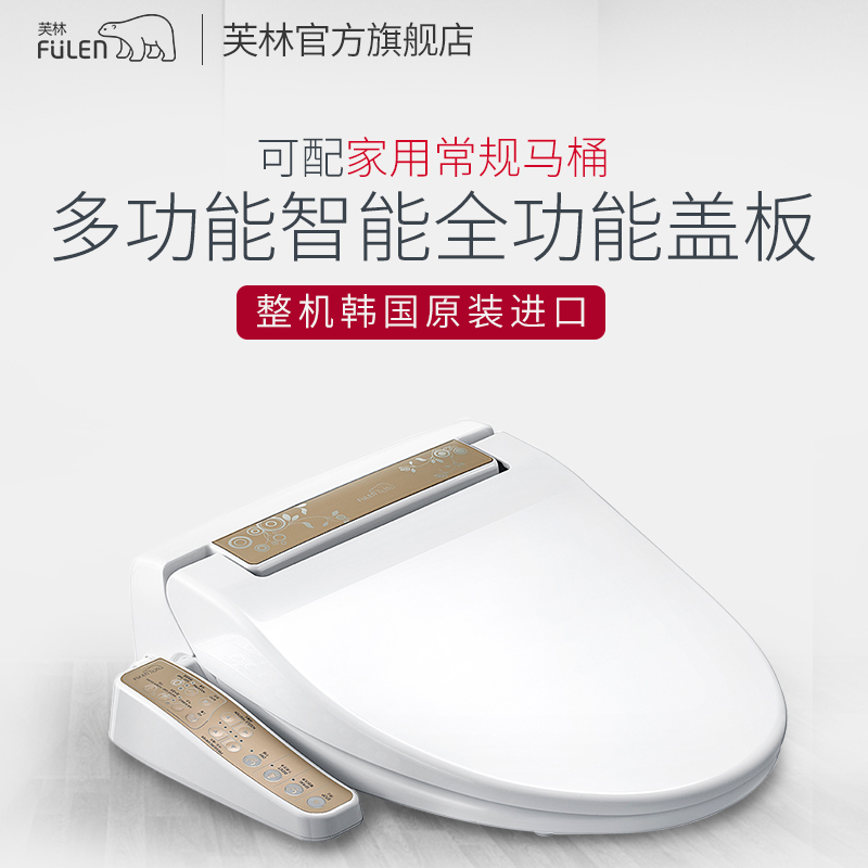 芙林（FULEN）DST-300G 智能马桶盖板洁身坐便器 韩国进口储热式 烘干除臭冲洗