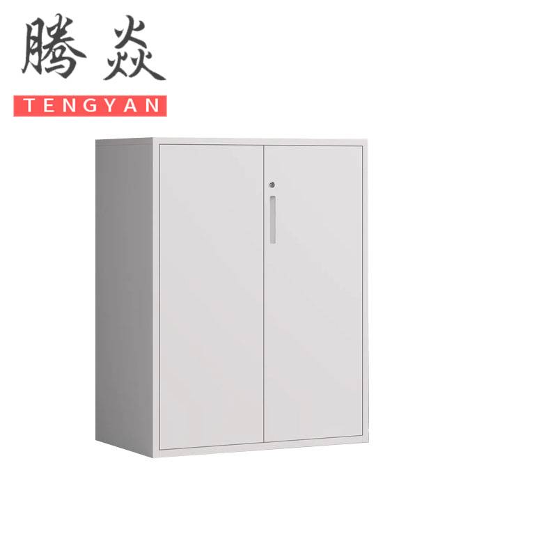 腾焱 档案柜高清大图