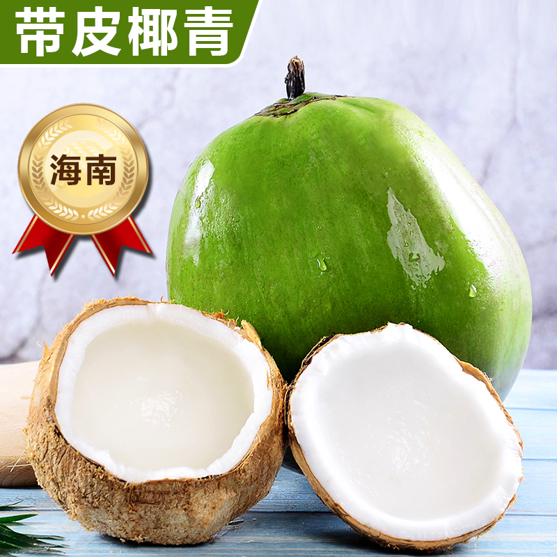 【熊猫鸟】海南椰青带皮 4个装 新鲜椰子 当季热带水果 汁水充沛