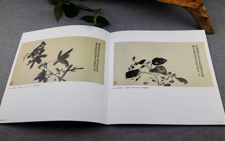 [醉染正版]历代名家册页青藤白阳 徐渭陈淳精品花卉书画集/中国名画家国画花鸟山水画作品全集/正版传世名画美术鉴赏临摹画册高清大图