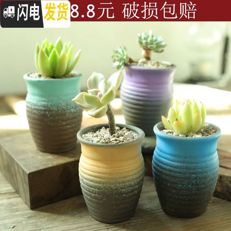 三维工匠麦饭石多肉花盆陶瓷手绘粗陶复古爆裂创意大老桩盆栽室内 天蓝色浮雕花随机4个 中等花盆容器高清大图