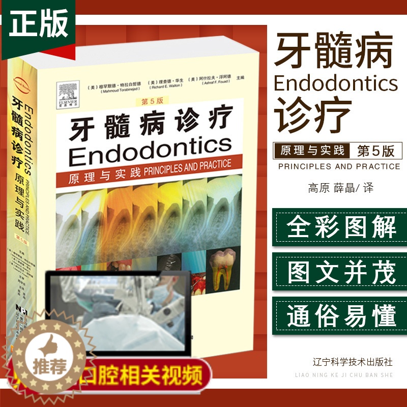 [醉染正版]牙髓病诊疗原理与实践第 第五版 医学临床病例 现代根管治疗图谱 口腔科学 口腔医学图谱 磨牙牙髓疾病诊疗 辽高清大图