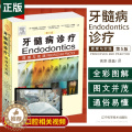 【醉染正版】牙髓病诊疗原理与实践第 第五版 医学临床病例 现代根管治疗图谱 口腔科学 口腔医学图谱 磨牙牙髓疾病诊疗 第