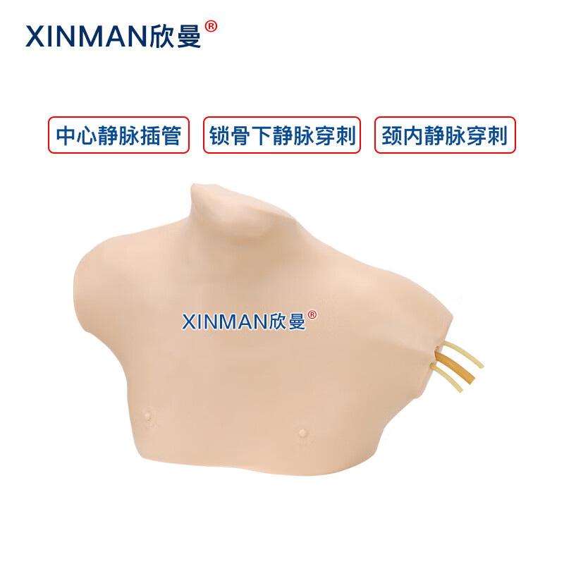 欣曼科教 中心静脉穿刺插管模型 中心静脉置管术训练模型XM-LZC02高清大图