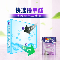 多乐士(Dulux)致悦抗甲醛净味5合1 油漆涂料 内墙乳胶漆 墙面漆白色 A744+A749 18L套装