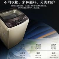 小天鹅（LittleSwan）全自动家用变频波轮洗衣机 桶自洁防缠绕 水魔方8公斤 TB80-6288DCLG