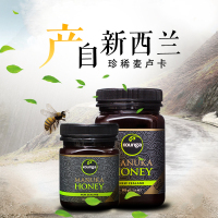 Kounga 产自新西兰 珍贵麦卢卡蜂蜜MGO400+ 蜂蜜 500g 新西兰原装进口蜂蜜 其它蜂蜜