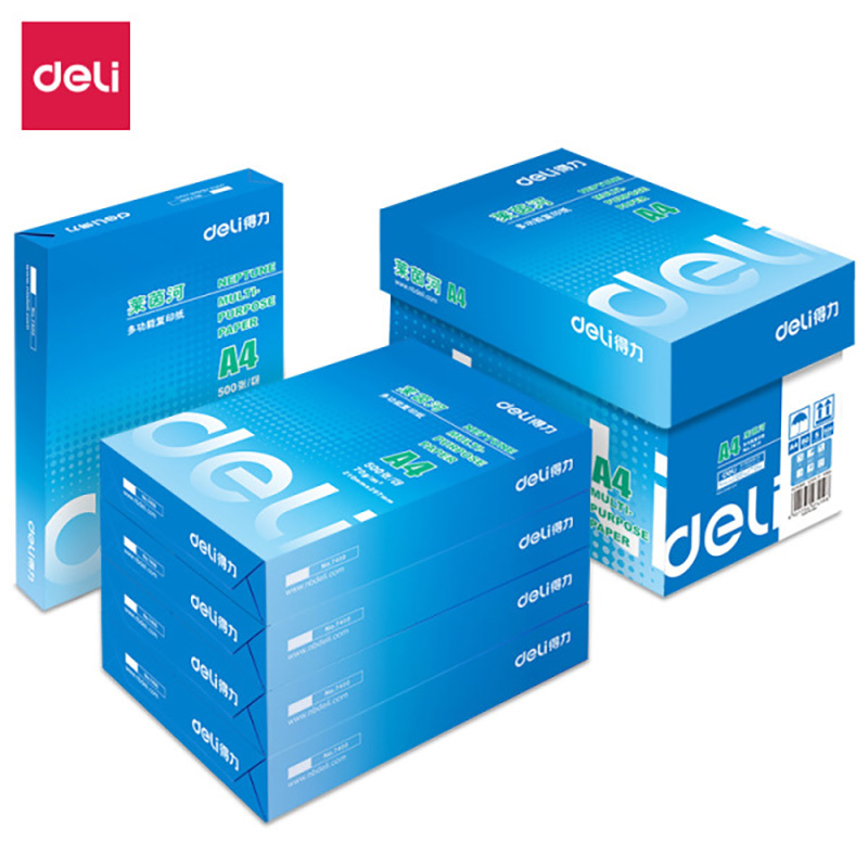 得力(deli)莱茵河打印复印纸白纸A4办公用纸70g木桨 500张/包 5包1箱装