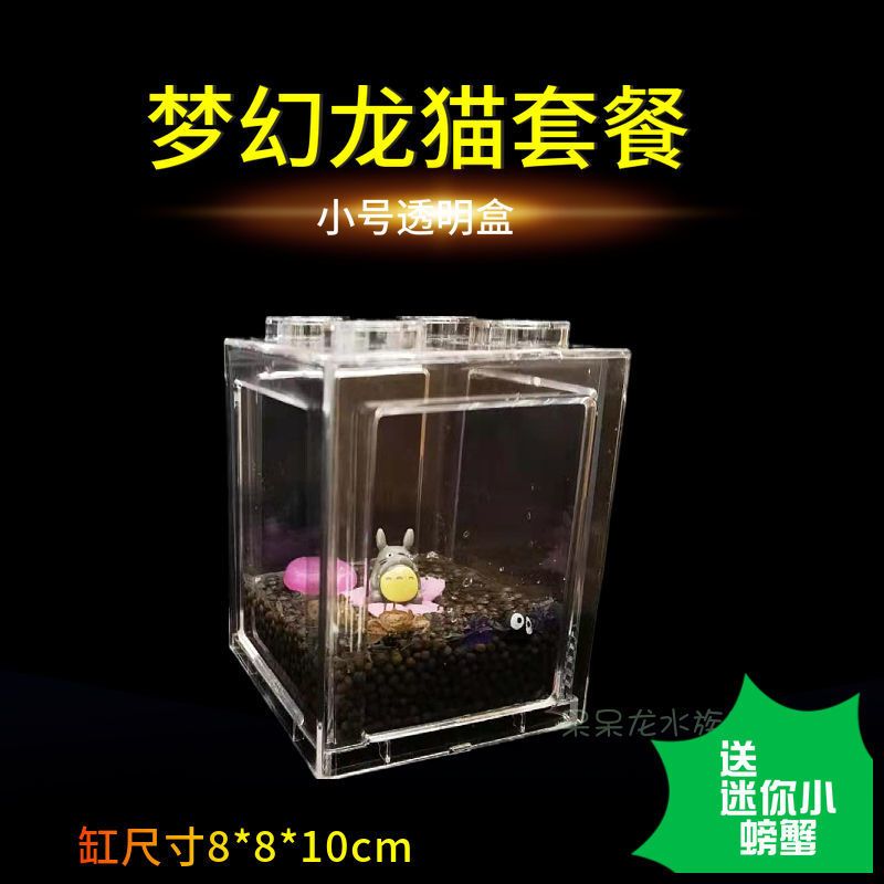 辣椒蟹观赏蟹小螃蟹饲养套餐创意微景观节日礼物透明缸生态鱼缸 小号积木盒透明裸盒+送2小螃蟹