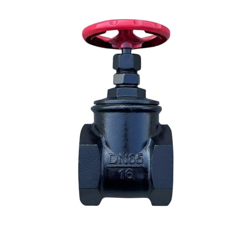 泽燊 闸阀 型号:Z15T-10可锻丝口闸阀 铜芯铜杆 DN15 单位:个