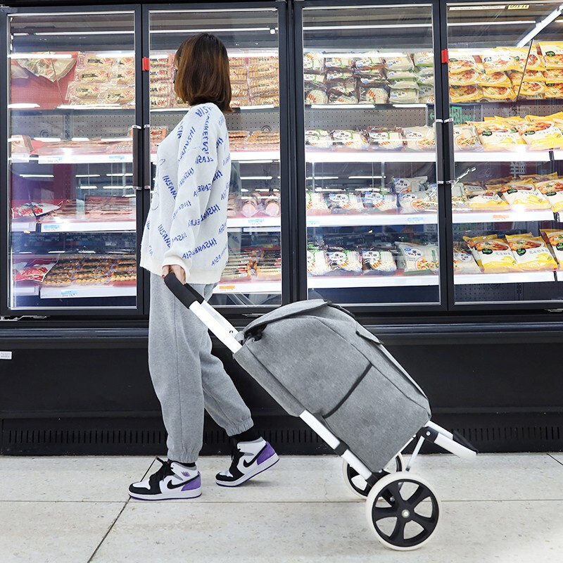 新越昌晖 买菜车手拉车折叠购物车铝合金小推车家用行李车拉杆车便携手推车小拖车户外郊游拉货车 F51045高清大图