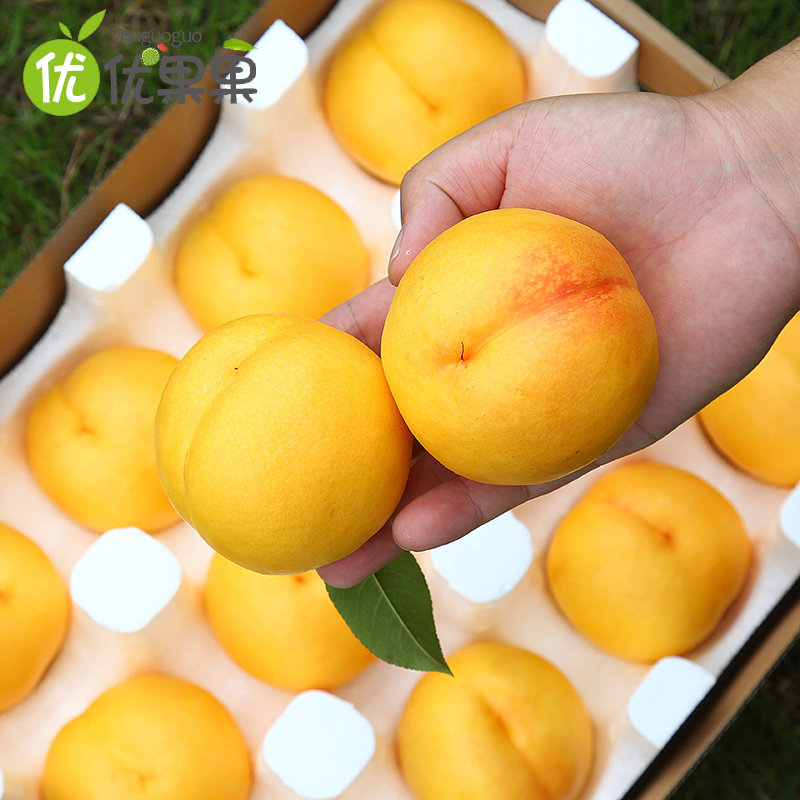 山东蒙阴黄桃带箱 5斤约12-18个左右新鲜现摘现发脆甜多汁可口应季水果脆桃黄桃毛桃