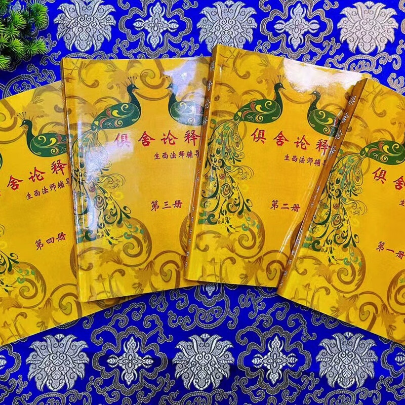 珍品《俱舍论释辅导》1-4 册完整版 SXFX A4厚版1-106课高清大图