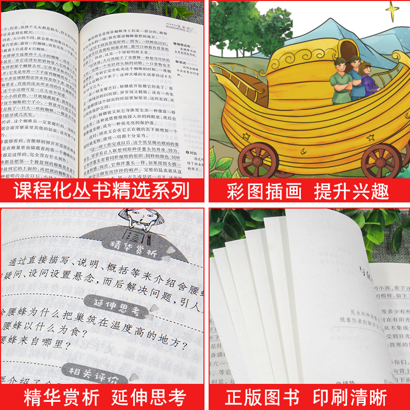 欧洲民间故事 [正版]元欧洲民间故事天地出版社精选聪明的牧羊人小学生五年级课外书必读老师 阅读快乐读书吧5上人教版儿童文高清大图