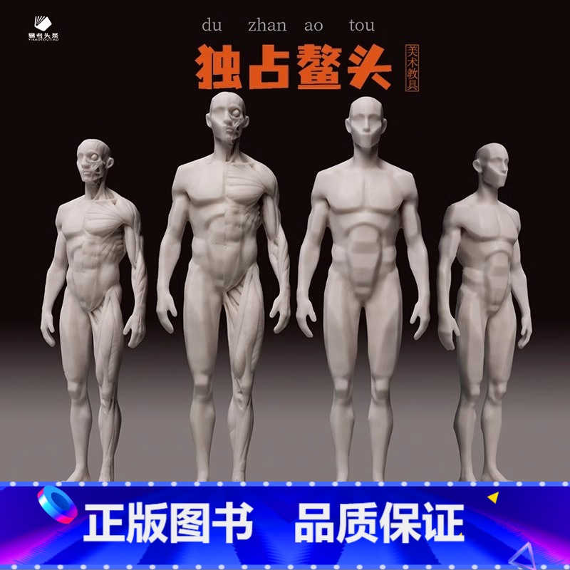 艺用人体解剖体块与肌肉模型(S2)+ 艺用人体解剖 全体块模型(S3) 【正版】美术教具新品发布艺用人体解剖教具速写 比