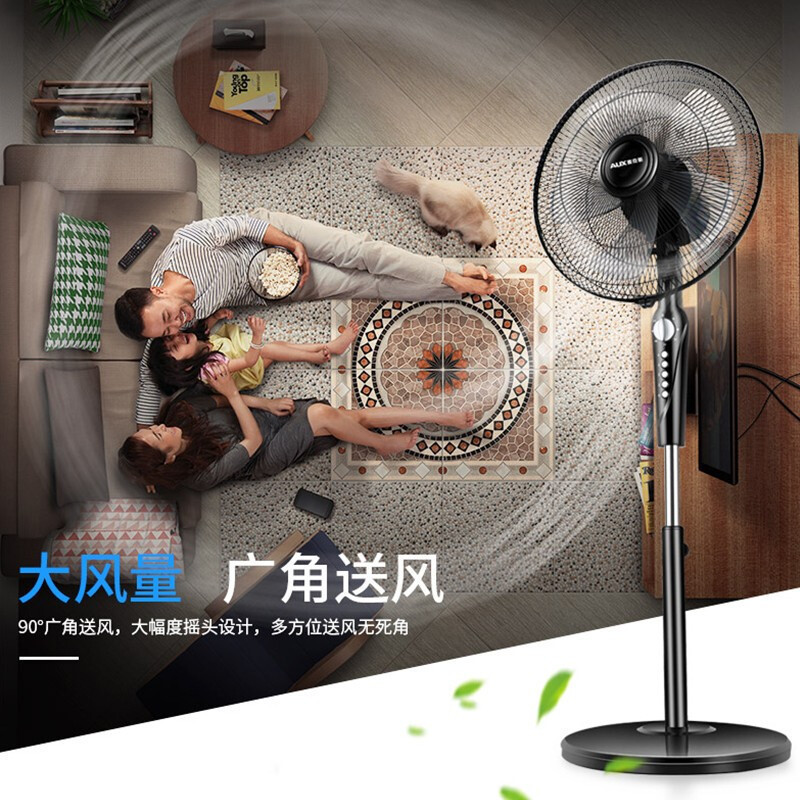 奥克斯(AUX)电风扇家用床头定时落地扇 节能立式办公室静音风扇 黑色遥控款