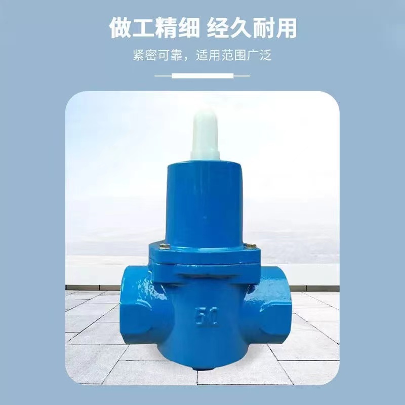 伟鹏双兴 蓝色铸铁丝扣减压阀 DN15 台高清大图