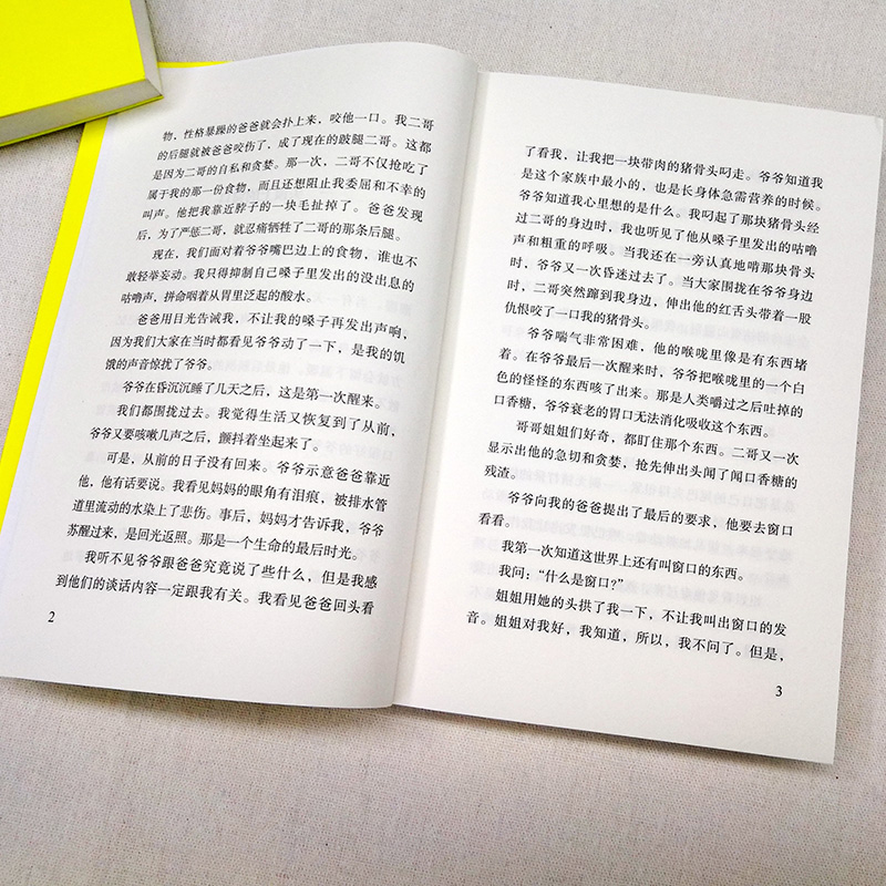 [正版]全3册一只狗和他的城市/懂艺术的牛/土鸡的冒险常新港动物励志小说小学生三四五六年级课外阅读书籍10-12岁儿童高清大图
